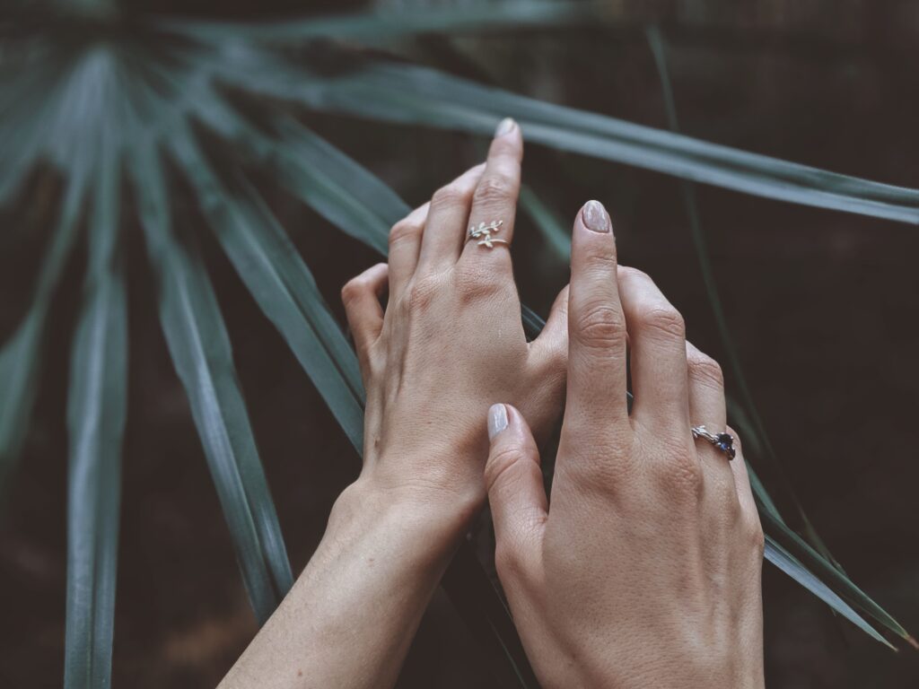 pexels valeriia miller 2606088